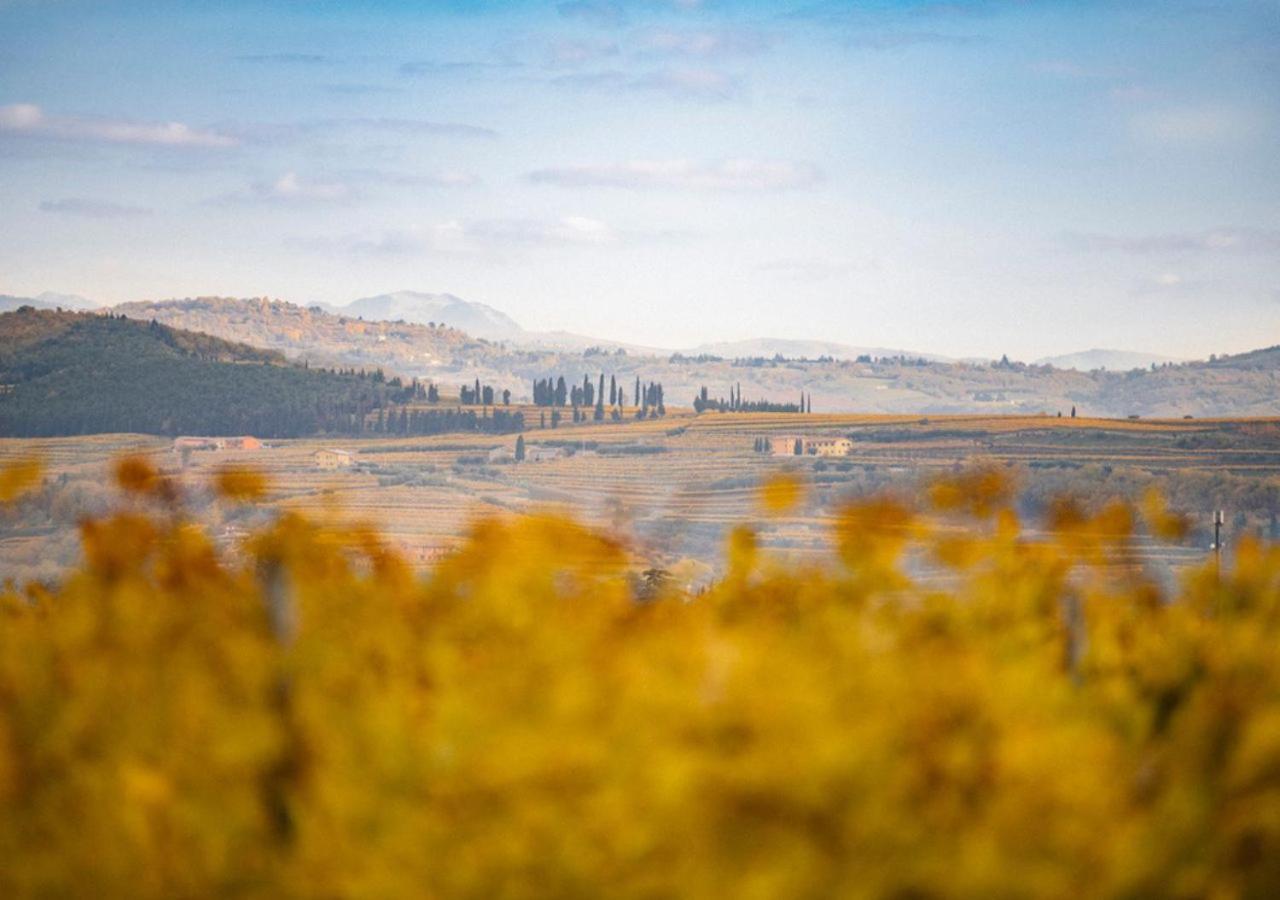 Dimora Buglioni Wine Relais Villa San Pietro in Cariano Eksteriør bilde