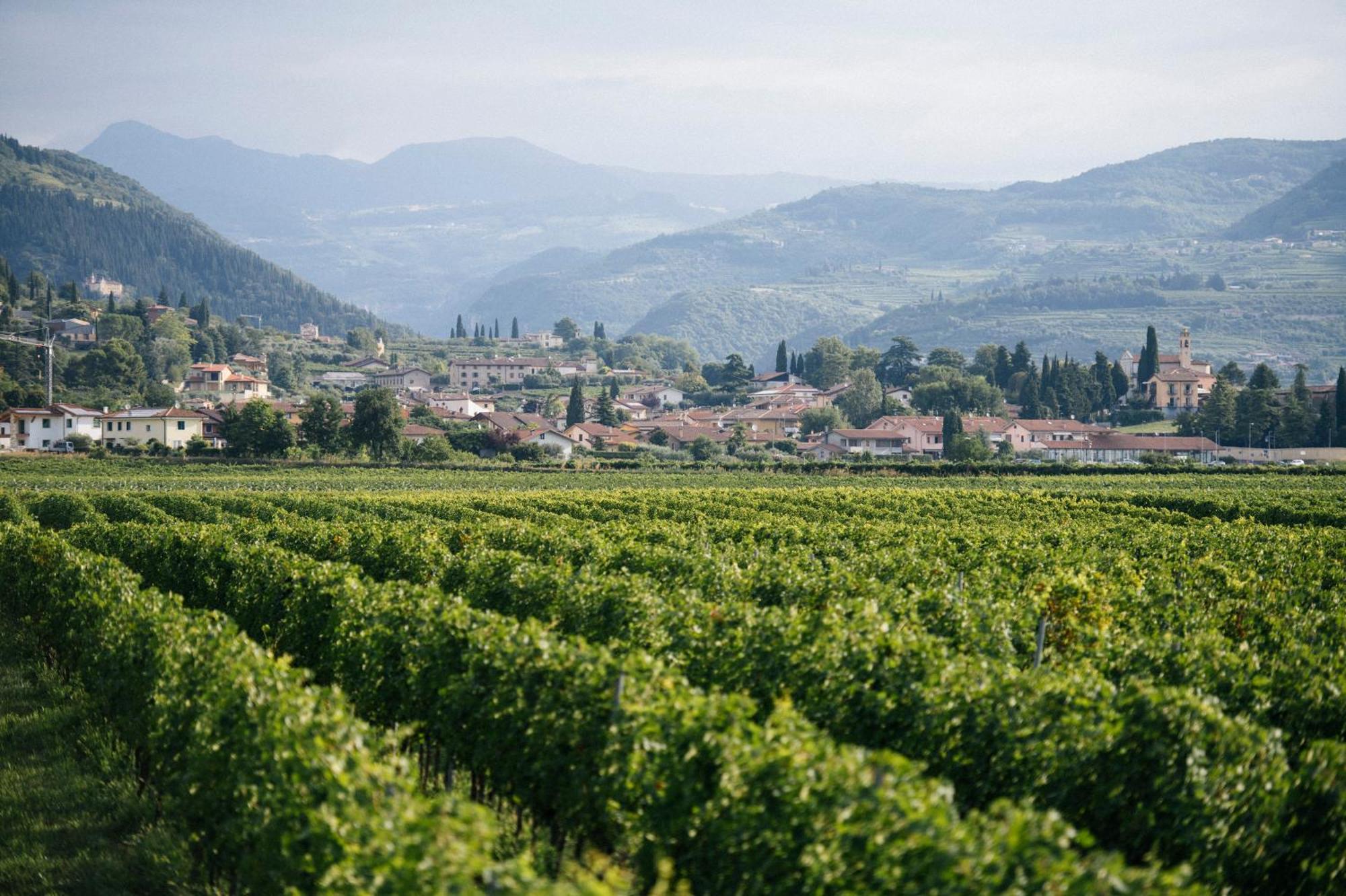 Dimora Buglioni Wine Relais Villa San Pietro in Cariano Eksteriør bilde