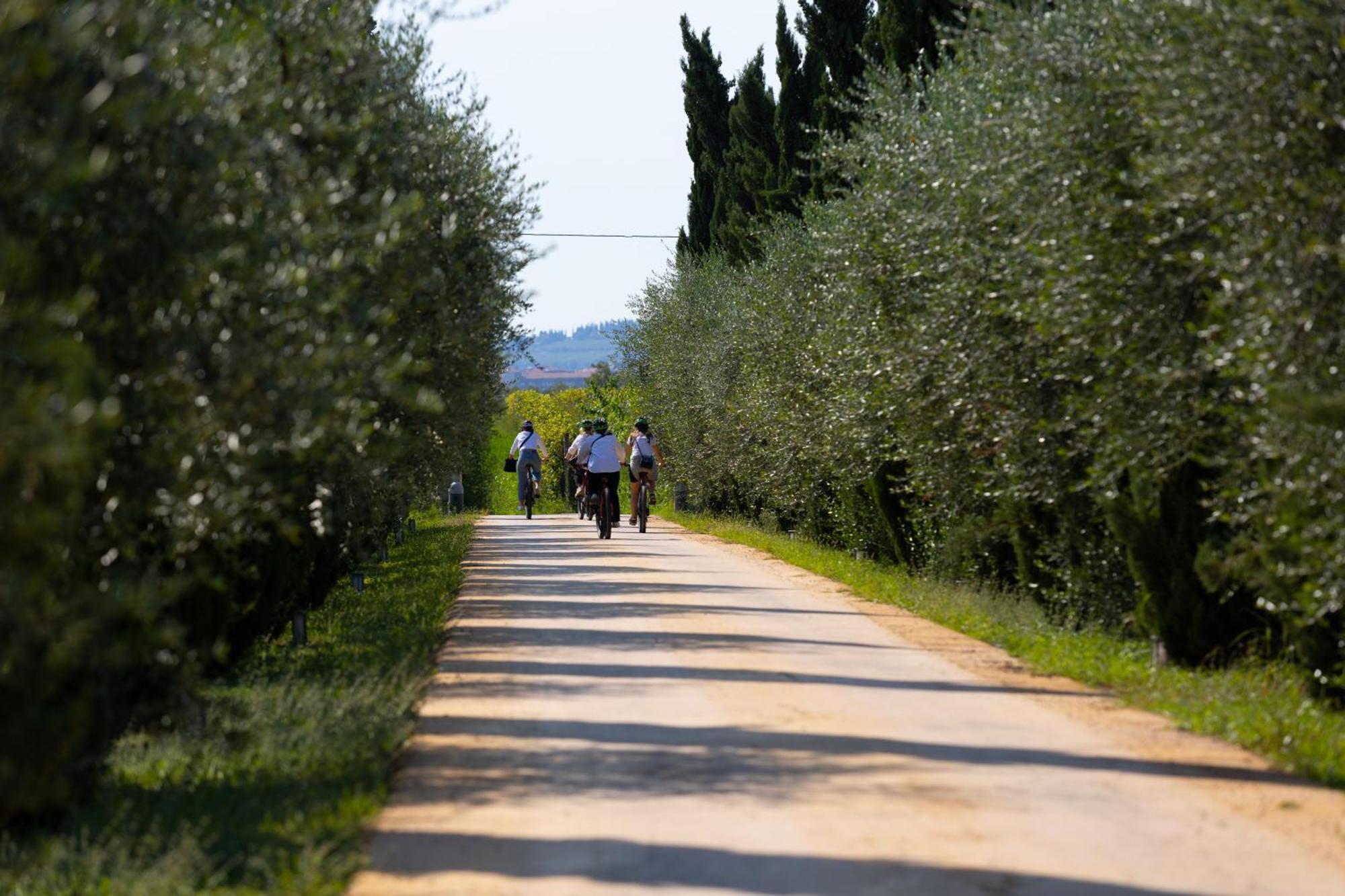 Dimora Buglioni Wine Relais Villa San Pietro in Cariano Eksteriør bilde
