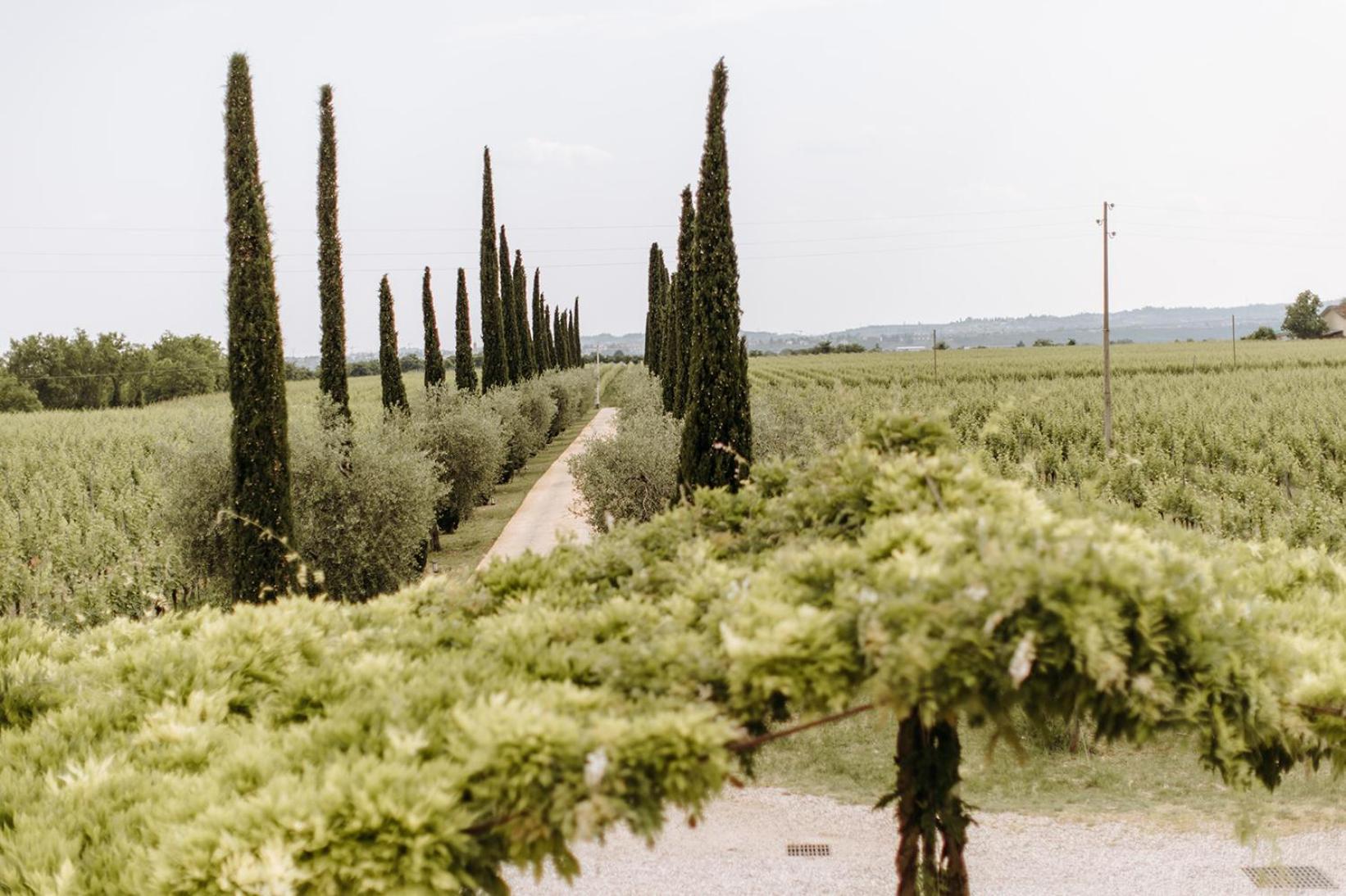 Dimora Buglioni Wine Relais Villa San Pietro in Cariano Eksteriør bilde